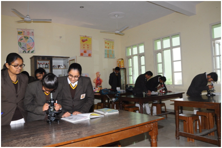 School Image